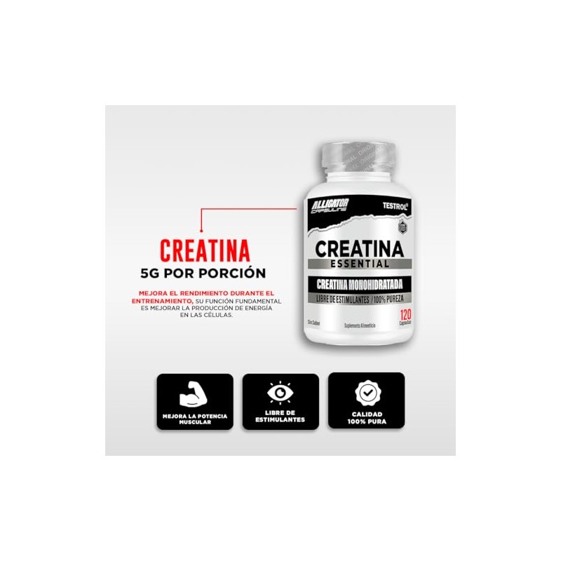 Testrol Creatina Essential Creatina Monohidratada Apoyo a Potencia, Resistencia y