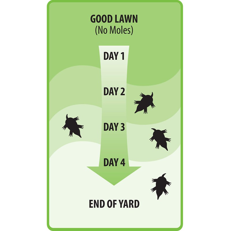 Victor M7001-1 Mole & Gopher Repellent, Black