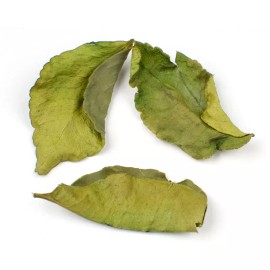 NY Herb Shop WHOLESALE!! Makrut Lime Leaves Dried Lime Leaves Whole Leaves - 8oz