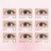 [Rino Ishihara Produce Color-Control] TOPARDS (Topaz) One Day, 10 Pieces,
