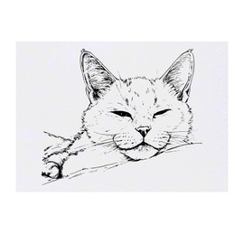 'Sleepy Cat' Temporary Tattoo - Water Resistant, Skin-Safe, Non-Toxic Transfer (TO00075299)