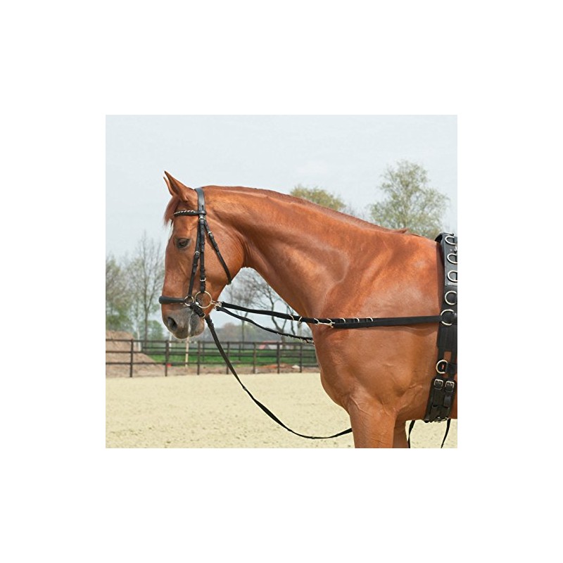 Side-Reins RINGS-FIXED, Full, black/NP