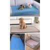 LEZUAN Cooling Mat for Dogs, Portable Pet Cooling Mat, Heat