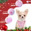 2 Pieces XXS Dog Sweater Teacup Dog Clothes Chihuahua Clothes