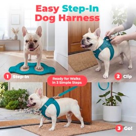 Best Pet Supplies - Arnés de Malla para Perros pequeños y medianos Voyager Step-in Air para Todo Tipo de Clima, Color Turquesa (Ribete a Juego), XXS  