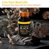 Generic Cold-Pressed Black Seed Oil, 2% Thymoquinone, 500 MG per