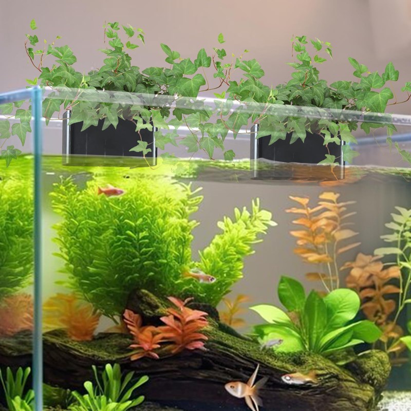 2 PCS Aquarium Plant Holder Top Hanging Fish Tank Plant