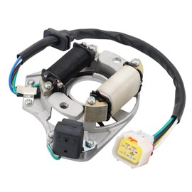 WOOSTAR 2 Coil 5 Wire Ignition Stator Magneto Replacement for DY100 LF100 H100 LX100