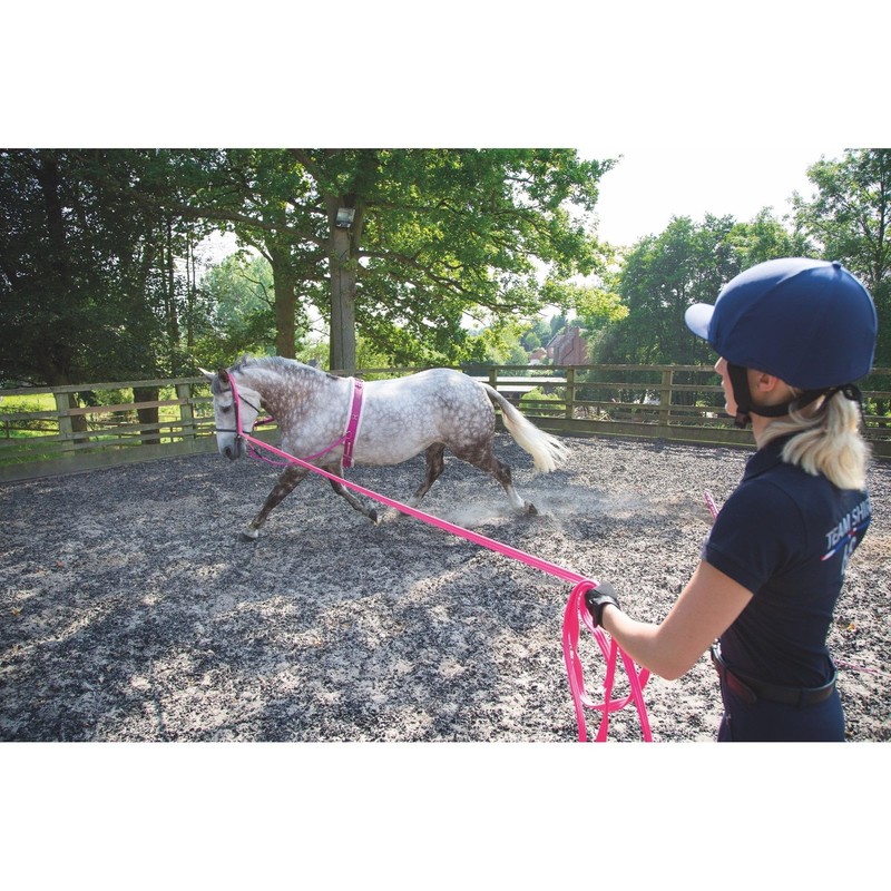 Shires Wessex Soft Feel Lunge Line 8m Grey