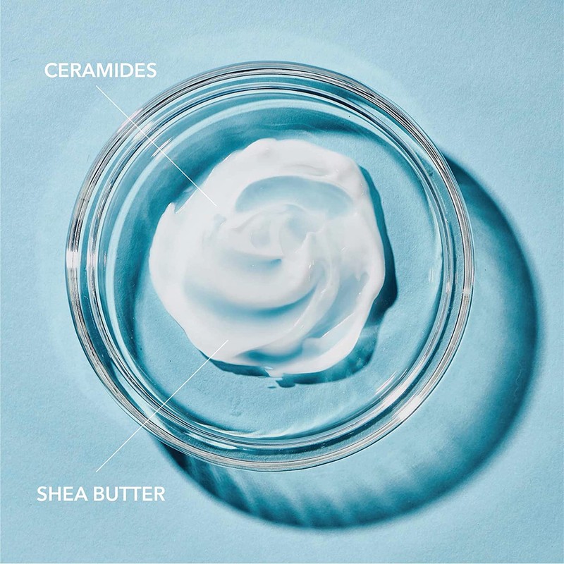 Curel Daily Healing Original Lotion for Dry Skin 13 oz