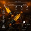 Battery Operated Edison Lights Outdoor String with Timer, 6.56 Ft
