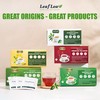 LeafLea Moringa Tea, 120 Fresh-Sealed Tea Bags, Premium Herbal Blend