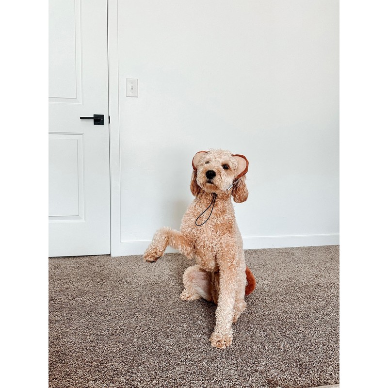 Midlee Monkey Headband & Tail Dog Costume