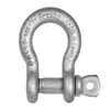 Anchor Shackle,3/8" Body Sz,Painted