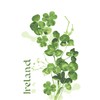 Ulster Weavers Irish Shamrock Cotton Tea Towel