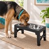 Adjustable Elevated Dog Feeder with Slow Feeder Bowl and Stainless