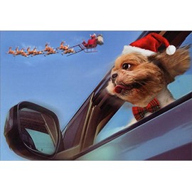 NobleWorks Terrier Looking at Santa from Car Window Cute Dog Christmas Card