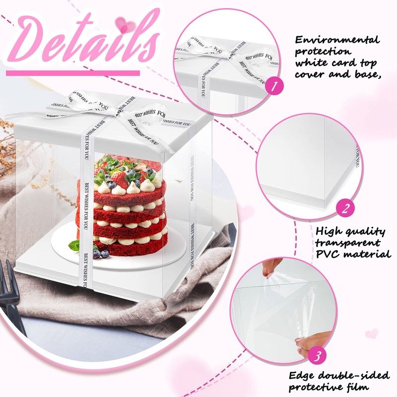 Taiyin 9 Pcs Large Tall Clear Cake Box 10''x10''x9'' White