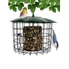Backyard Essentials Squirrel Defeater Seed or Suet Log Cage Feeder