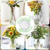 Xinlon Pack of 4 Flower Stem Holder Spiral Stem Holder