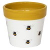 Ivyline Cacti Planter Bumble Bee H10cm D10Cm, White/Mustard