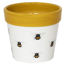 Ivyline Cacti Planter Bumble Bee H10cm D10Cm, White/Mustard