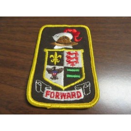 All Out for Scouting Patch    c67