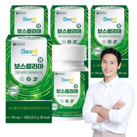 Nature Dream Beobi Boswellia Tablets 22.5g, 30 tablets, 4 units / 네이처드림 베오비 보스웰리아정 22.5g, 30정, 4개