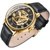 Dentily Classic Mechanical Hand-Wind Watch Men's Skeleton Watch Leather Strap