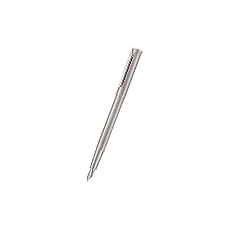 Hong Dian - Pluma estilográfica Forest Pro Silver de acero