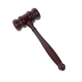 Totority Wooden Gavel Judge Lawyer Gavel Costume Accessory Dissent Ruth Ginsburg Feminismus Hammer Gavel Mallet Prop for Judge Lawyer