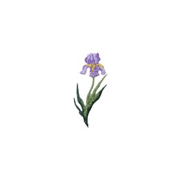 Purple Iris - Small - Flowers - Embroidered Iron on Patch
