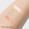 LUNASOL Eye Colouration N EX10 Leafy Shade [Eye Shadow] [Eye