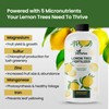 32oz Lemon Tree Fertilizer - Makes 32 Gallons of 2-in-1