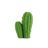 Kikkerland Cactus Erasers, Set of 2 (ER56)
