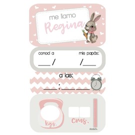 Colgante de niña para puerta de hospital y recámara del bebe con nombre personalizado: fecha de nacimiento, cuánto pesó y midió marca La Scrapería (Conejita 2)
