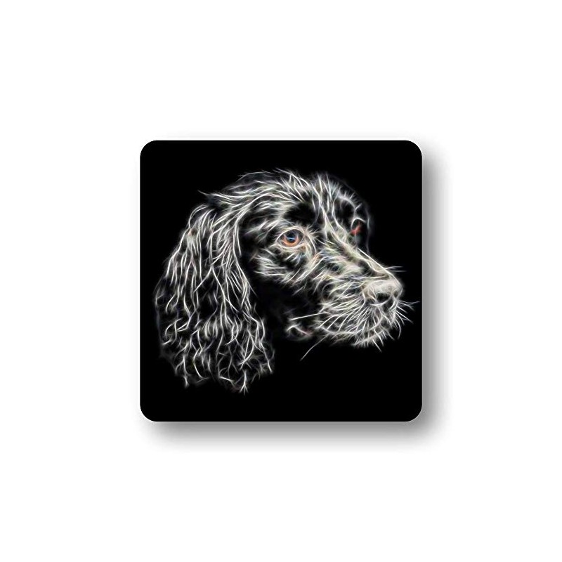 Fractal Artworks Sprocker Spaniel Coaster Set with Fractal Art Design.
