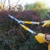 Centurion 75 Upgraded Telescoping Hedge Shears with 9-inch Wavy Blade