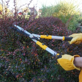 Centurion 75 Upgraded Telescoping Hedge Shears with 9-inch Wavy Blade and Extendable Handles for Trimming Borders, Shrub, and Tall Bushes (Length from 26" to 32")