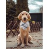 Fall Dog Bandana Autumn Thanksgiving Plaid Reversible Triangle Bibs Scarf