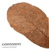 CIYODO 20pcs Dried Leaf for Sushi Plate Elegant Japanese Food