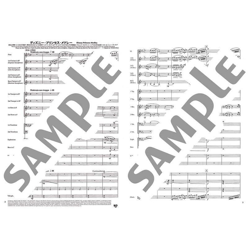 New Sounds in Brass NSB 第31集 ディズニー・プリンセス・メドレー(小編成)