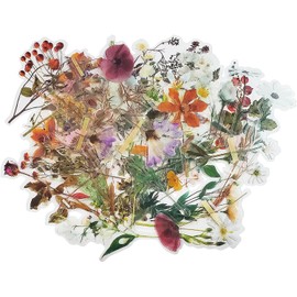 Pegatinas de naturaleza vintage HASAKI, 120 piezas hermosas calcomanías decorativas florales, pieles de computadora, álbumes de fotos…