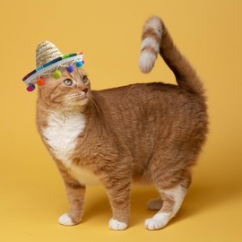 AWOCAN Pet Straw Hat Funny Mexican Sombrero Cap Rainbow scarf Party Decorations for Birthday for Small Pets, Puppy, Cat (multicolour)
