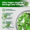 VivoNu Moringa Capsules | Pure Moringa Leaf Extracts, Energy, Skin