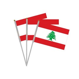Pandiui23 20pcs Hand Crank Flags - Lebanon & Pakistan National Holiday Party Parade Sports Events Decoration - Red, 14cm x 21cm with 30cm Stick