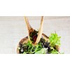 Olive Wood Salad Servers, Set of 2, Wood, Grain/Natural, 30