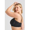Miss Mary of Sweden Tshirt Bra for Women - Seamless