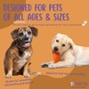 Café Nara Peanut Butter Flavored Lickable Treats for Dogs -