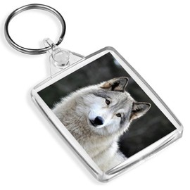 Destination Vinyl Keyrings Female Wolf Dog Keyring - IP02 - Husky Grey Wolves Dogs Wild Animal #16947